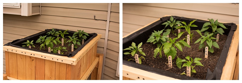 DIY Raised Planters - Our Kind of Wonderful
