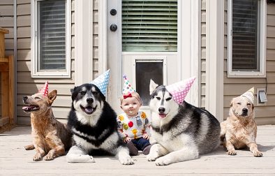Padfoot, Sharky, Sherlock, and Luna Turned 2! - Our Kind of Wonderful