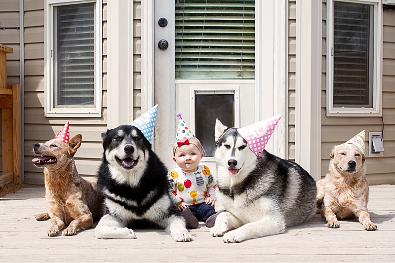 Padfoot, Sharky, Sherlock, and Luna Turned 2! - Our Kind of Wonderful