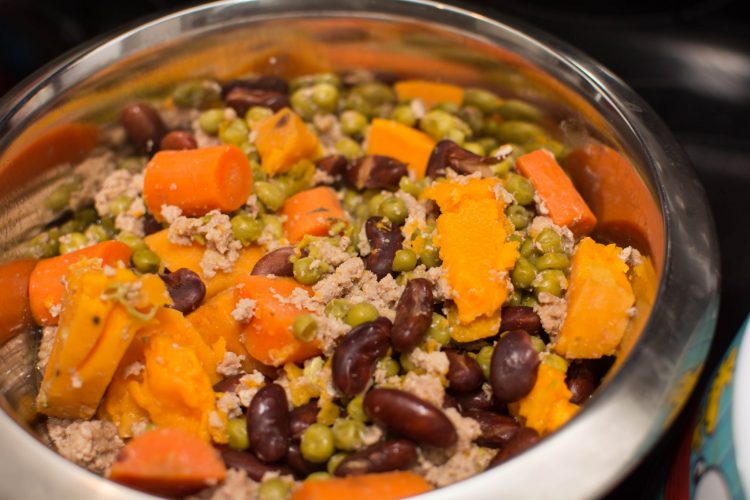 Crockpot Dog Food – Our Kind of Wonderful