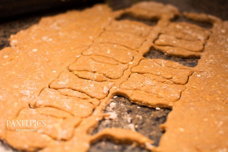 Pumpkin Dog Treats - Our Kind of Wonderful