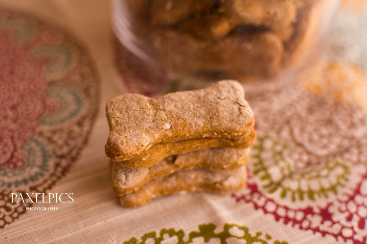 Pumpkin Dog Treats - Our Kind of Wonderful