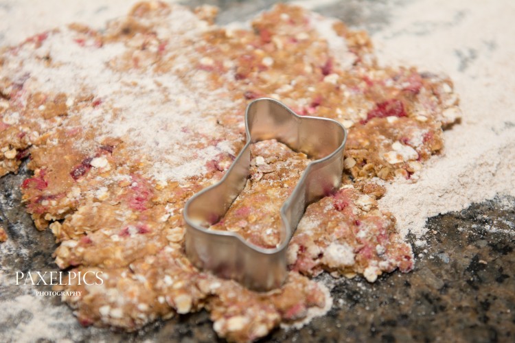 Cranberry Dog Treats - Our Kind of Wonderful