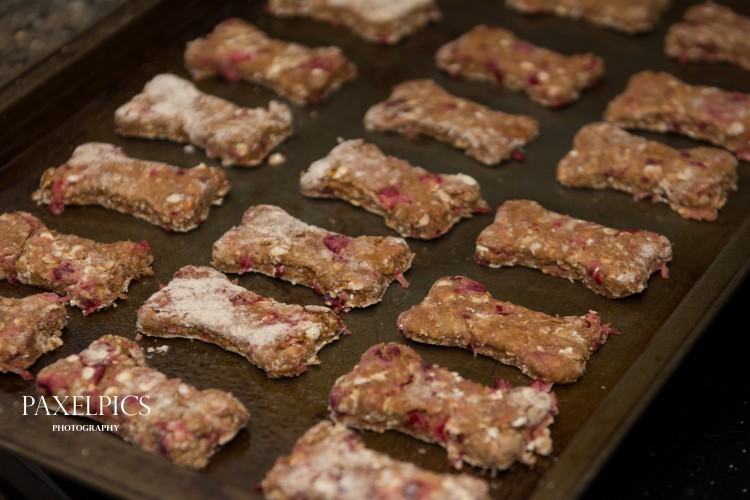 Cranberry Dog Treats - Our Kind of Wonderful