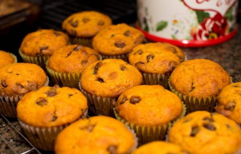Pumpkin Chocolate Chip Muffins - Our Kind of Wonderful