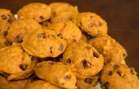 The Best Pumpkin Chocolate Chip Cookies - Our Kind of Wonderful